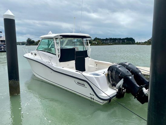 2015 Boston Whaler 315 Conquest