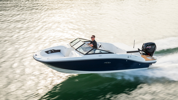 Sea Ray SPX 190 OB